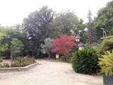Allée du jardin des plantes